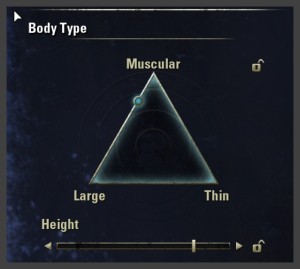 Character creation - body type selector